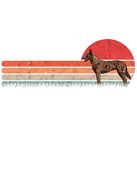 Hollandse Herder Retro