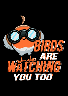 Bird Watching Robin Bird