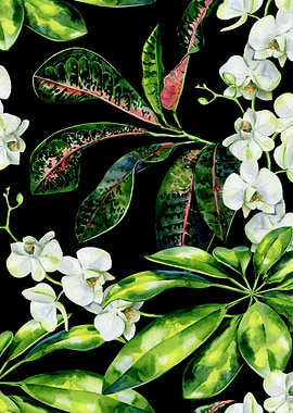 Black Watercolor Trop 02