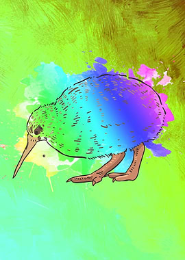 Kiwi Bird New Zealand