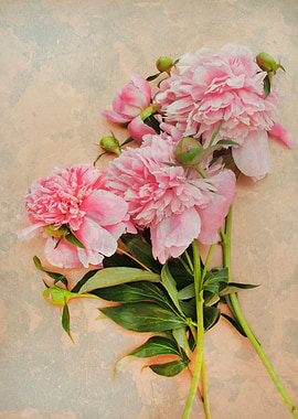 Vintage peony bouquet