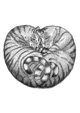 Cats Heart G21 021