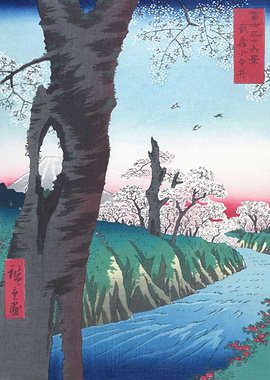 Koganei Musashi Province