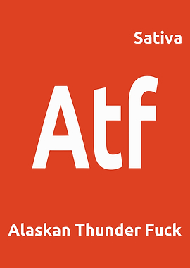 ATF Sativa weed