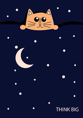 Blanket of Space Cat