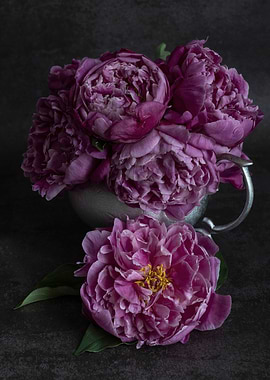 Still life with peonies