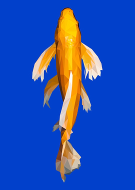 Koi gold collor