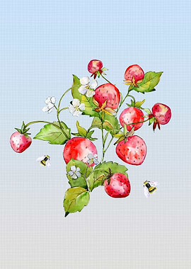 Delicious Strawberries