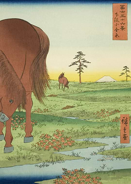 Koganehara Plain Shimosa