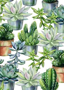 Watercolor Succulent 02