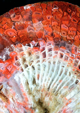 Agate Geode Texture 03