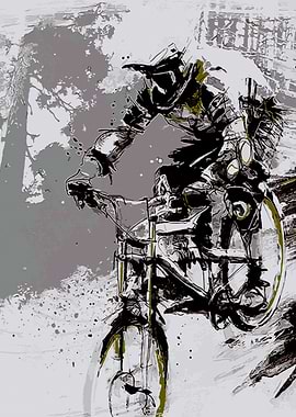mountain bike