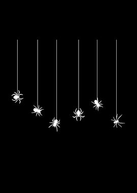 Spiders