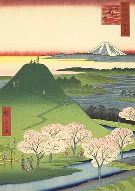 Sakura At New Fuji Meguro