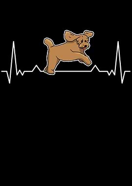 Labradoodle Heartbeat