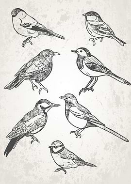 Black White Retro Birds