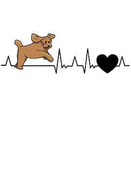 Labradoodle Heartbeat