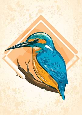 Cute Kingfisher Bird