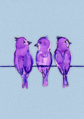 Three purple birds