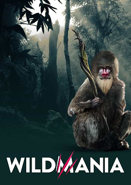 Wildmania 1