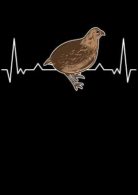 Quail Heartbeat Breeder