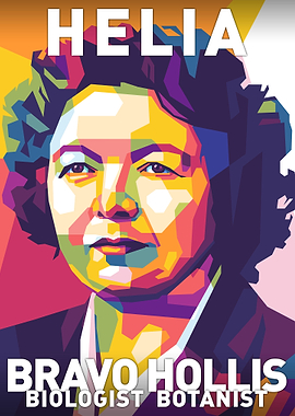 Helia Bravo Hollis