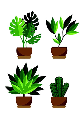 Just a Plants