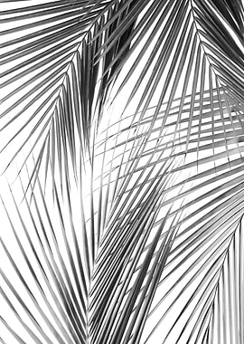 Palm Leaves Jungle Dream 2