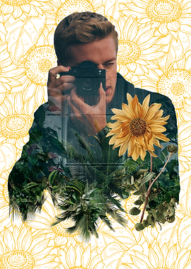 Sunflower Photogrpahy