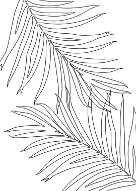 Palm Leaves Line Art 1
