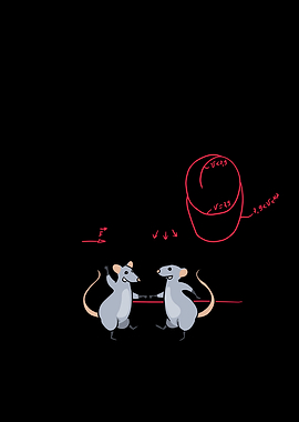 Mathematics Rats World