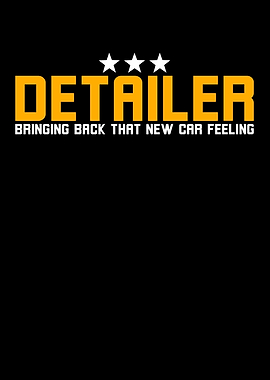 Auto Detailing Detailer