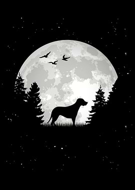 Brandlbracke Moon Bracke