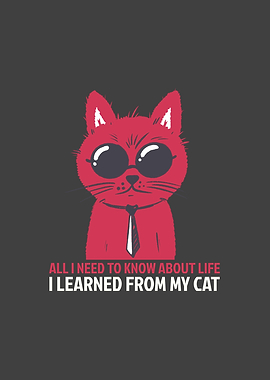 All I Need To Know About