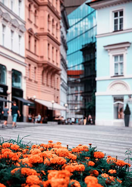 Travel, Prague, Europe