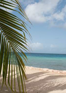 Beach Tranquility Dream 1