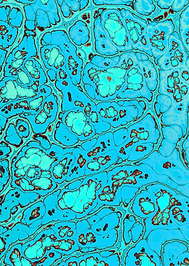 Turquoise Gem Texture 20