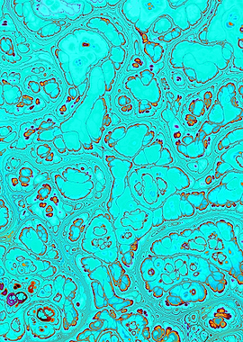 Turquoise Gem Texture 19