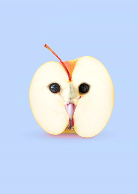 Apple Owl