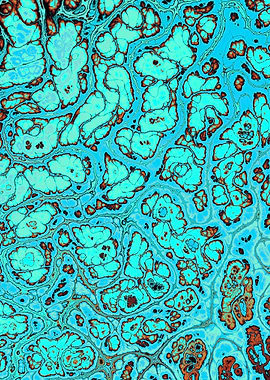 Turquoise Gem Texture 13