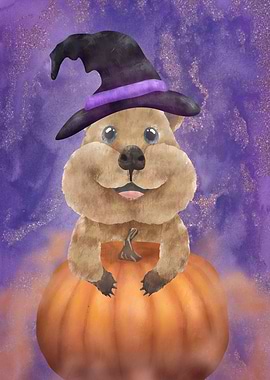Quokka Halloween Party