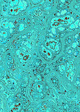 Turquoise Gem Texture 14