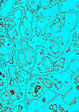 Turquoise Gem Texture 18