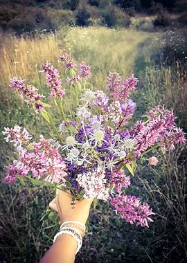 Purple flowers bouquet