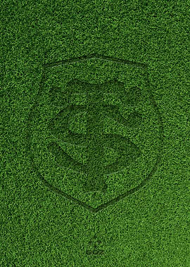 logo Stade Toulousain