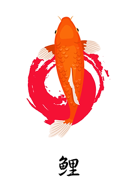 Orange Koi Fish