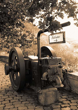 Porto Formoso tea factory