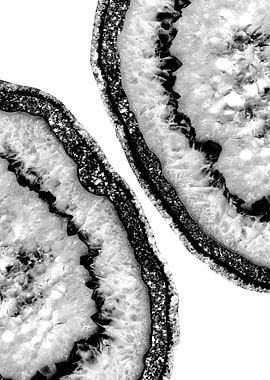 Yin Yang Agate Black 2