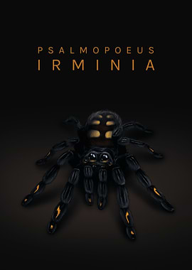 Psalmopoeus irminia