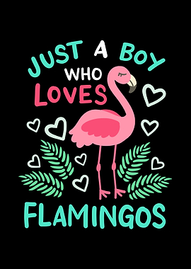 Flamingos Flamingo Lover